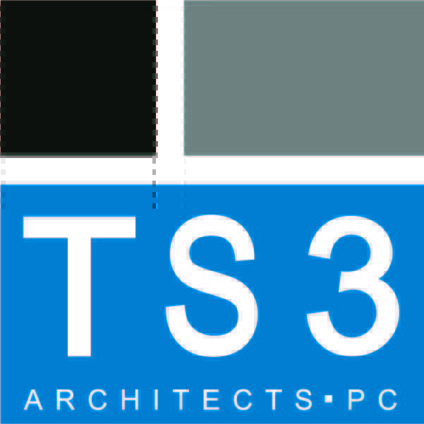 TS3 Logo